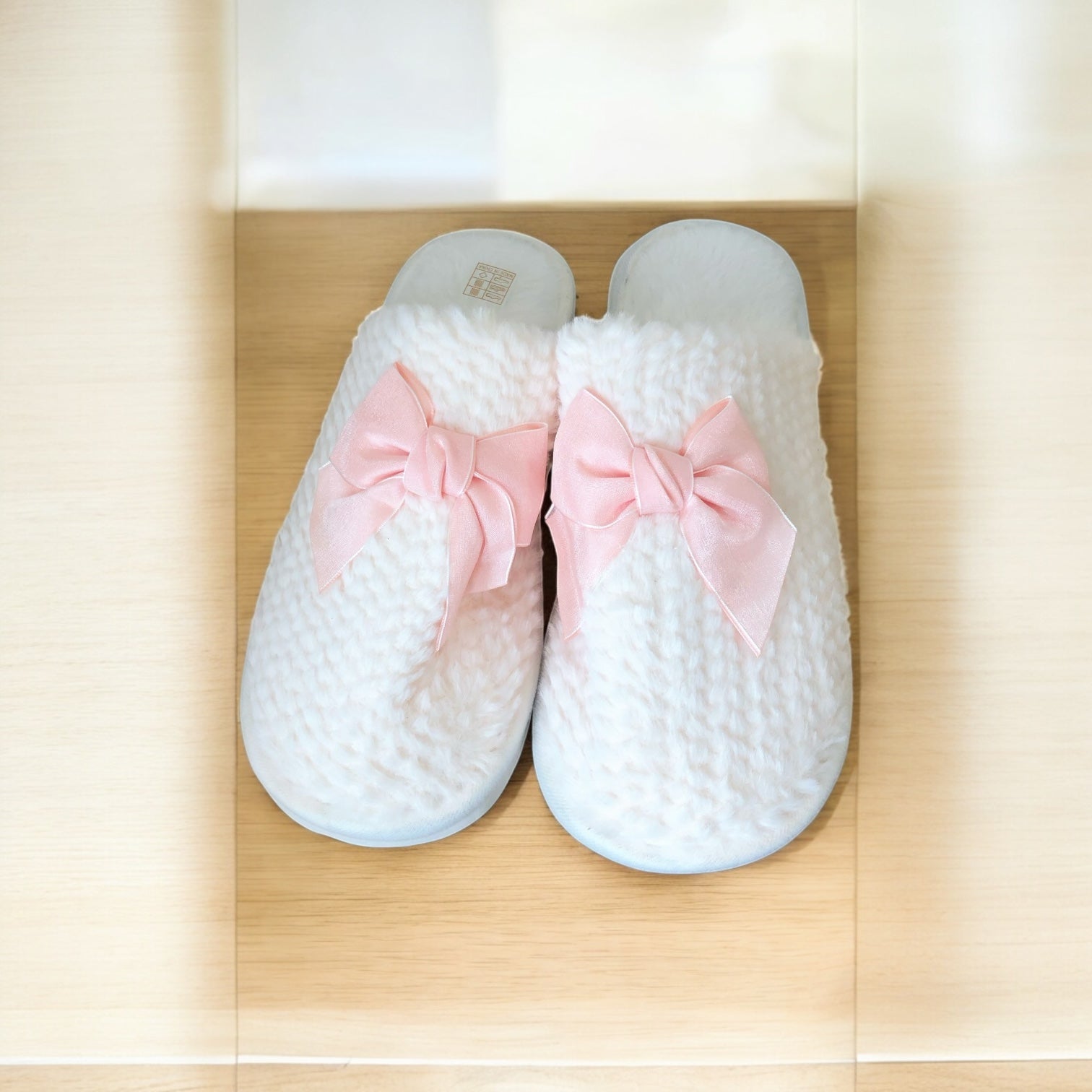 Zapatos y Pantuflas