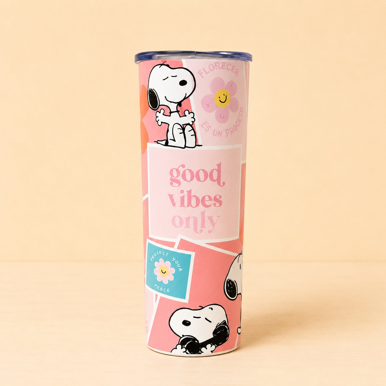 Back to School - Color Platino