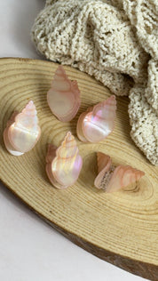 Ganchos Pez - Color Platino