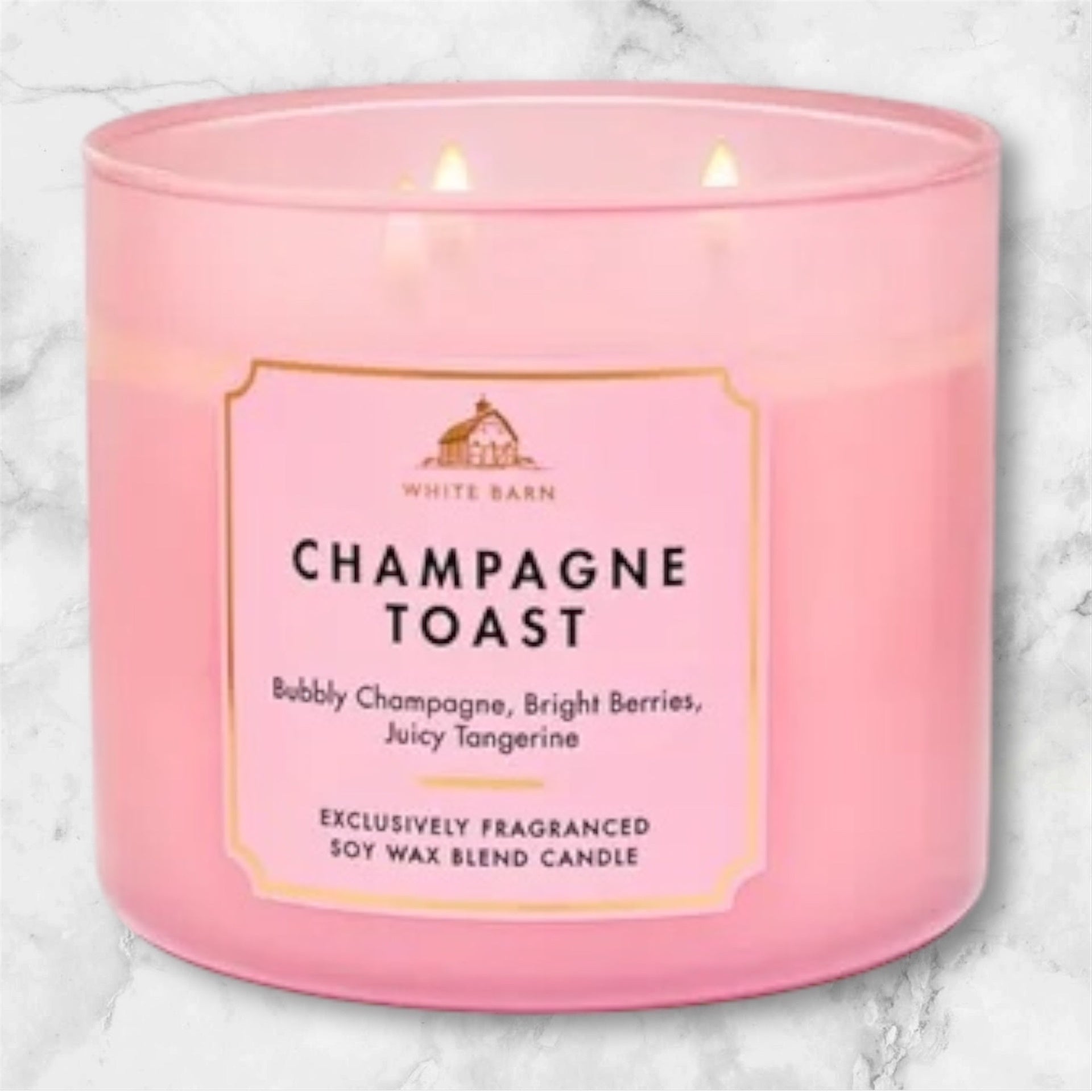 Vela Bath & Body 14.5oz - Color Platino