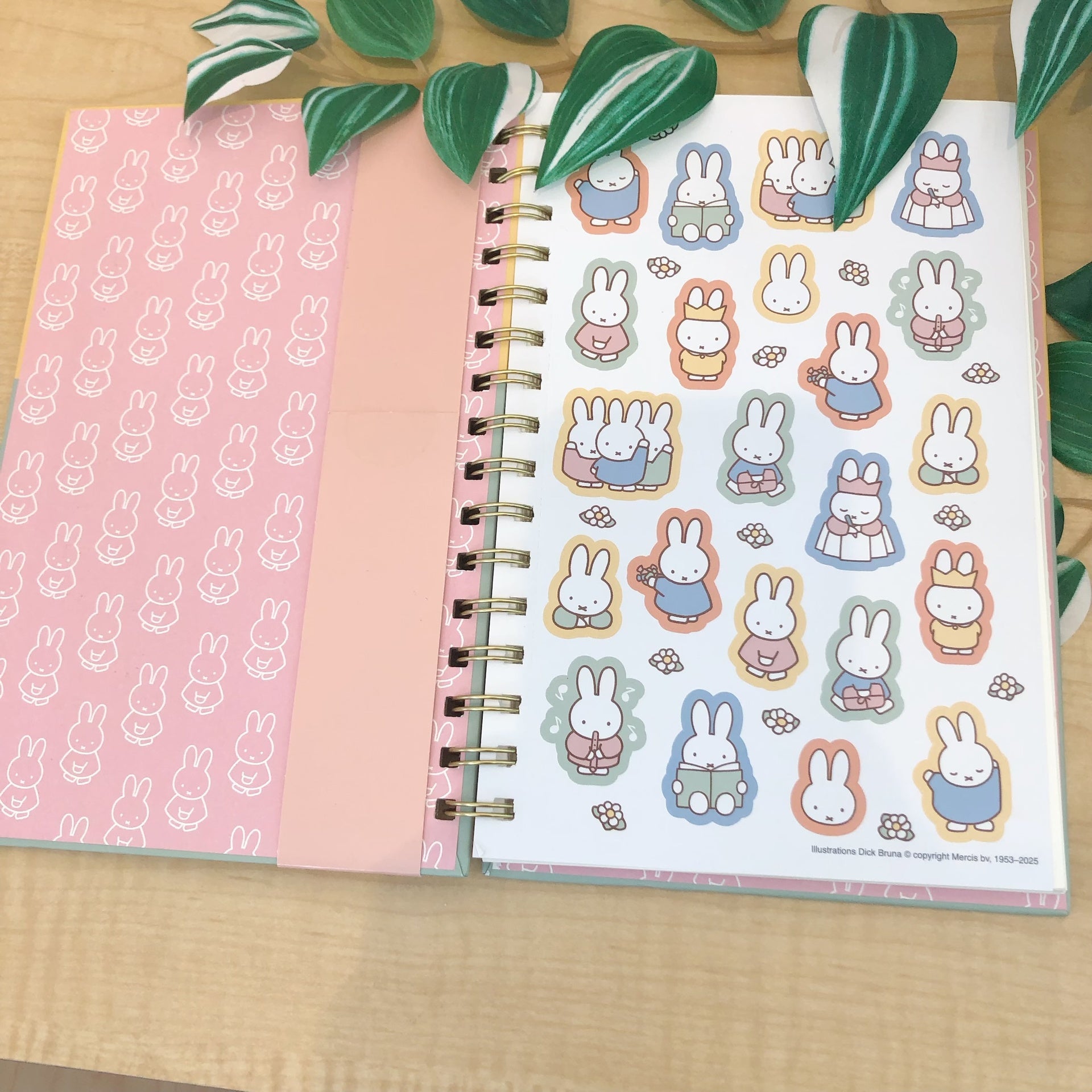 Set Libreta C/Pluma Miffy