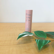 Lip Balm Carol - Color Platino